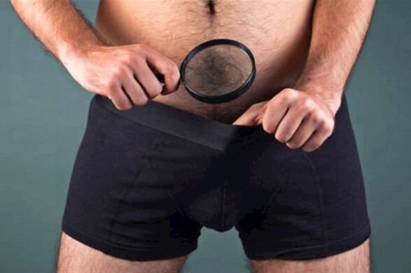 un hombre con una lupa examina su pene y quiere engrosarlo